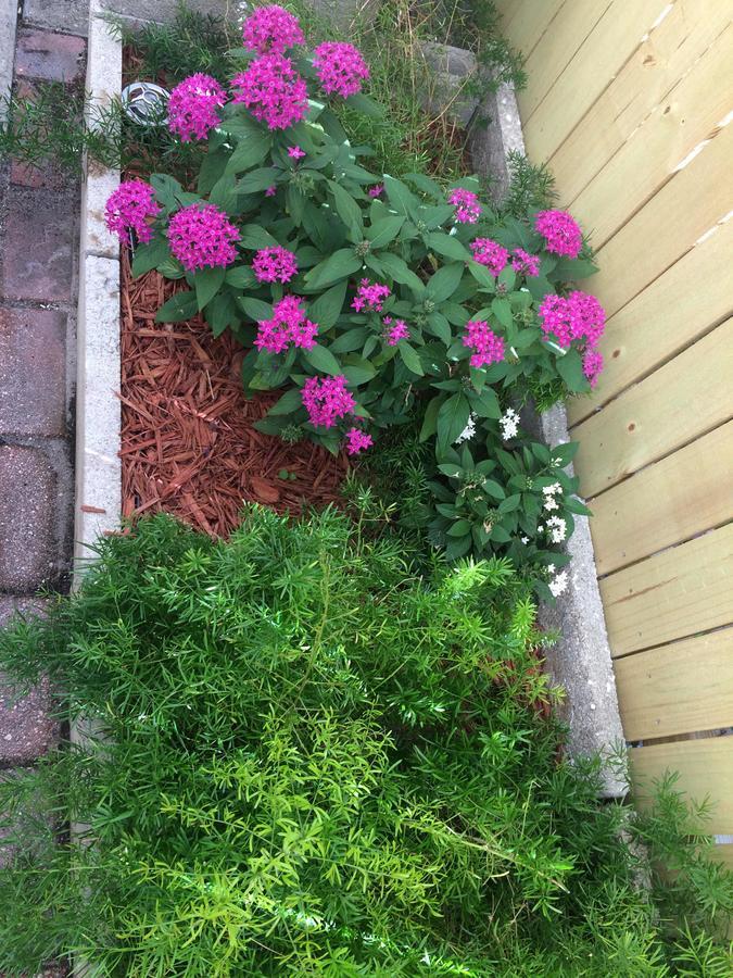 The Cottage At Pineapple House West Palm Beach Exteriör bild